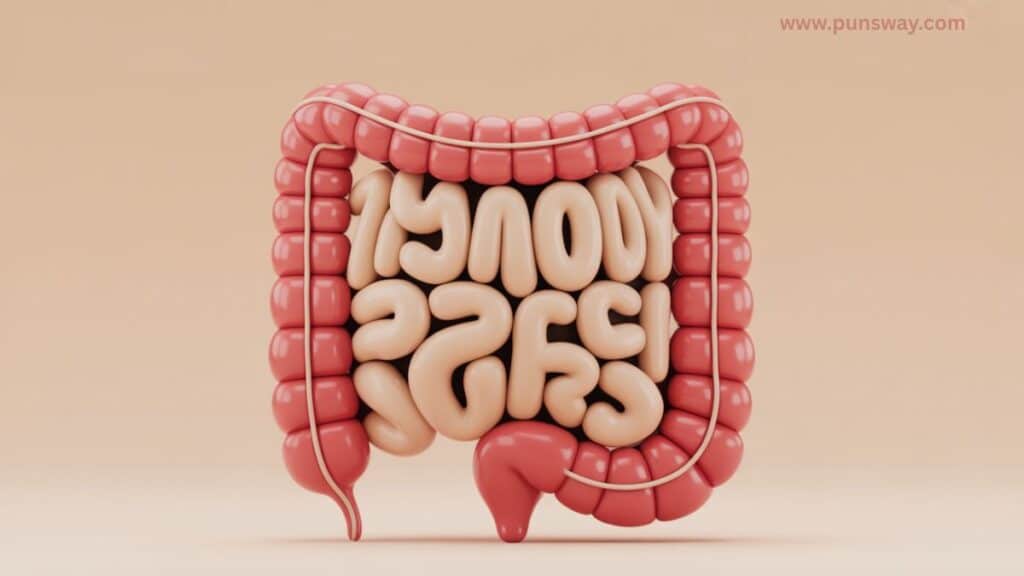 and Puns for Adults