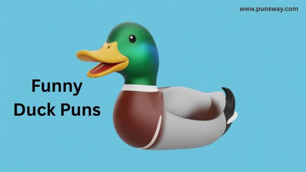 Funny Duck Puns