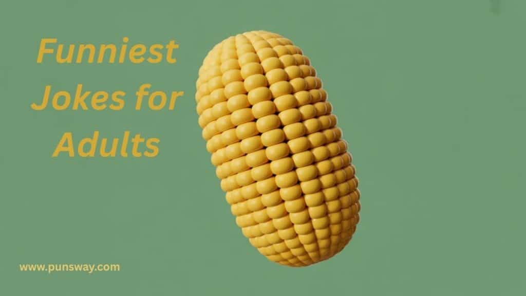 Funniest Best Seriously Puns for Adults