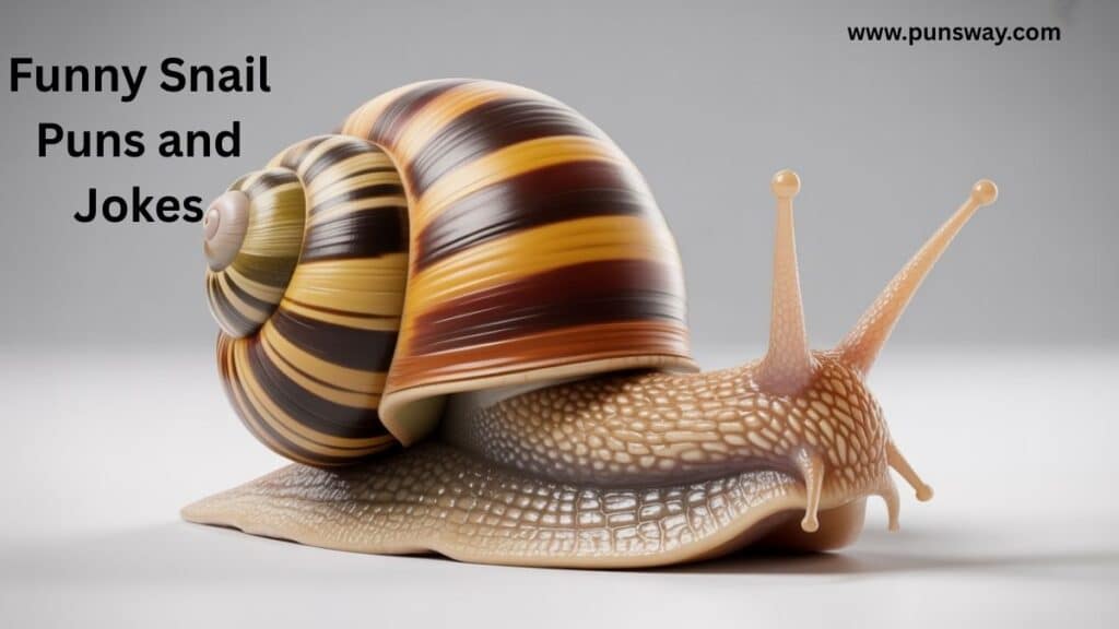 Funny Snail Puns and Jokes