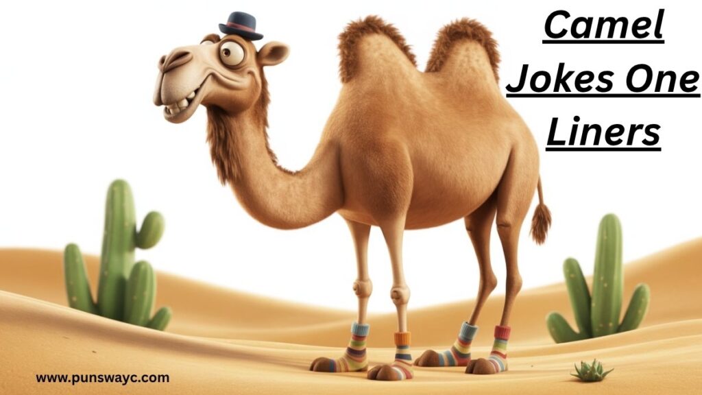 Camel Joke One Liners