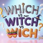 Which vs Witch vs Wich Clear Difference and  funny Usage